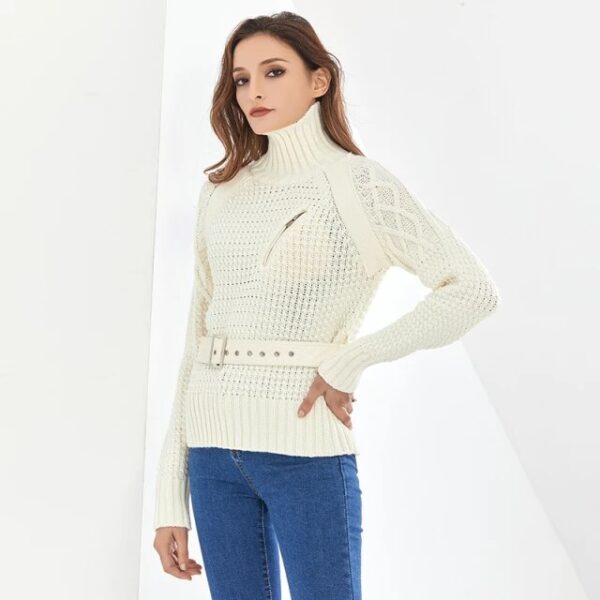 Pull A1 – Image 2